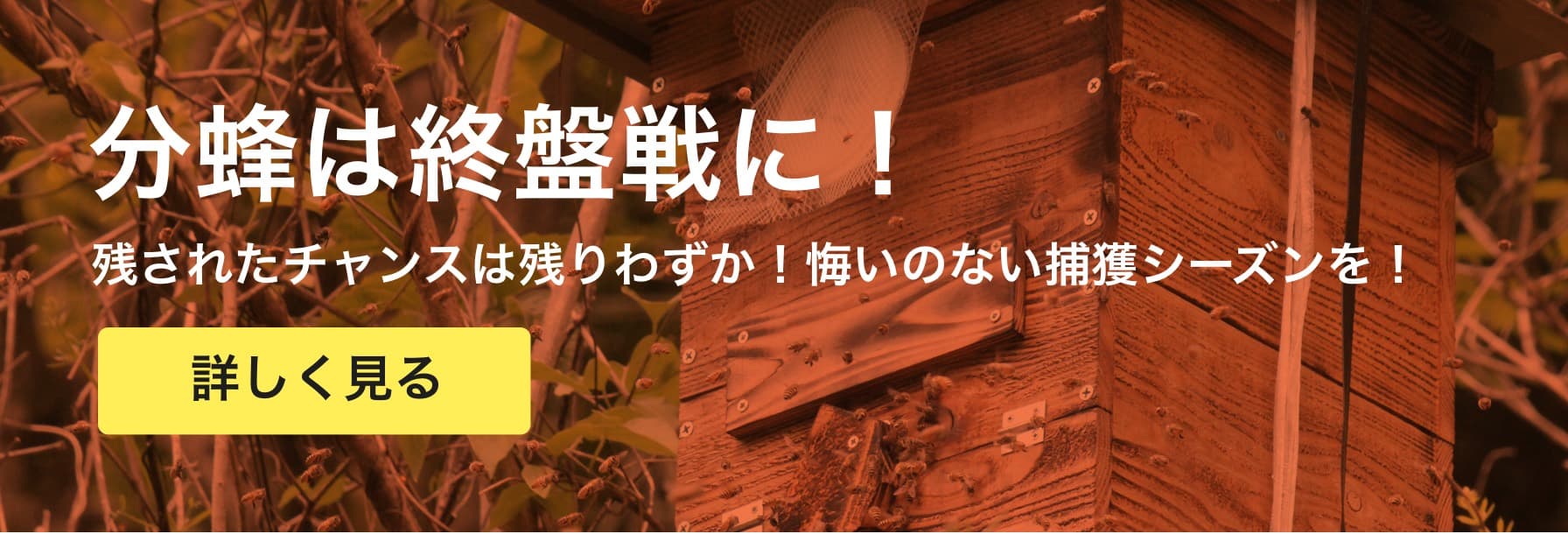 分蜂直前!