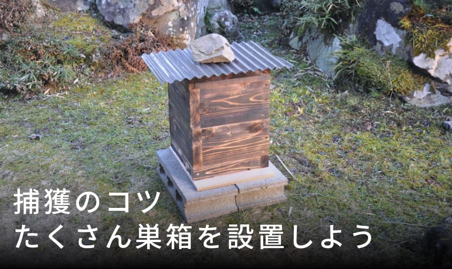 たくさん巣箱を用意する