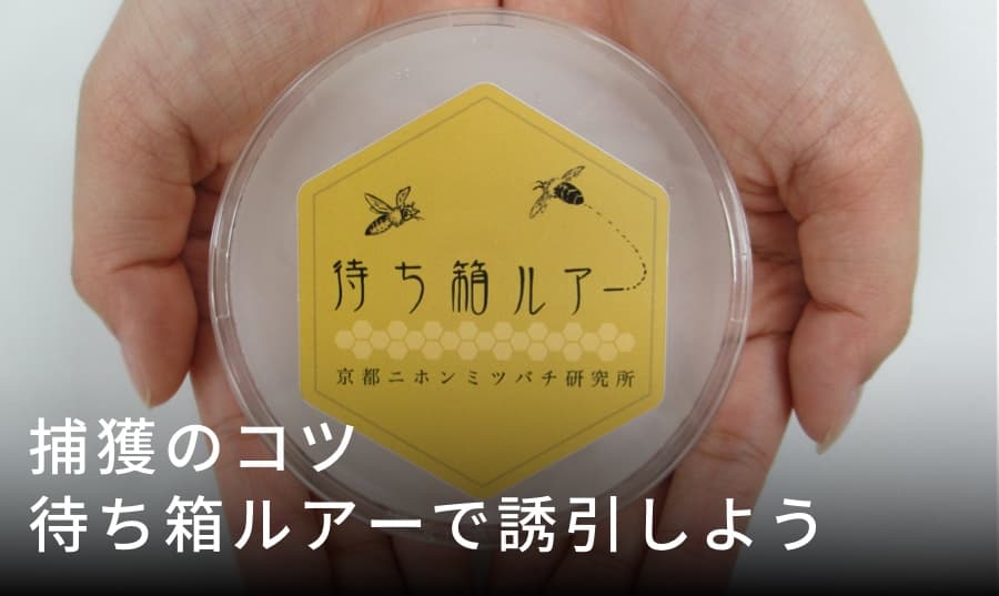 待ち箱ルアーで誘引