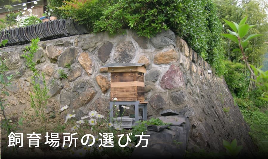 飼育場所の選び方