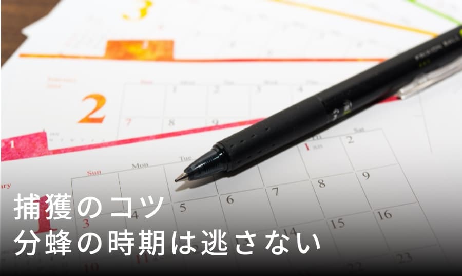 分蜂時期を逃さない